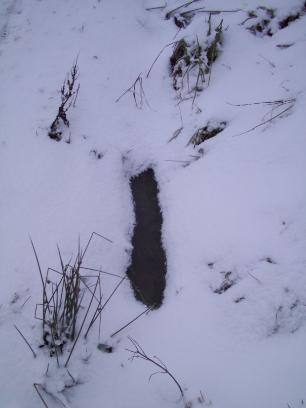 All that remained of the little stream as it froze over and the snow took over