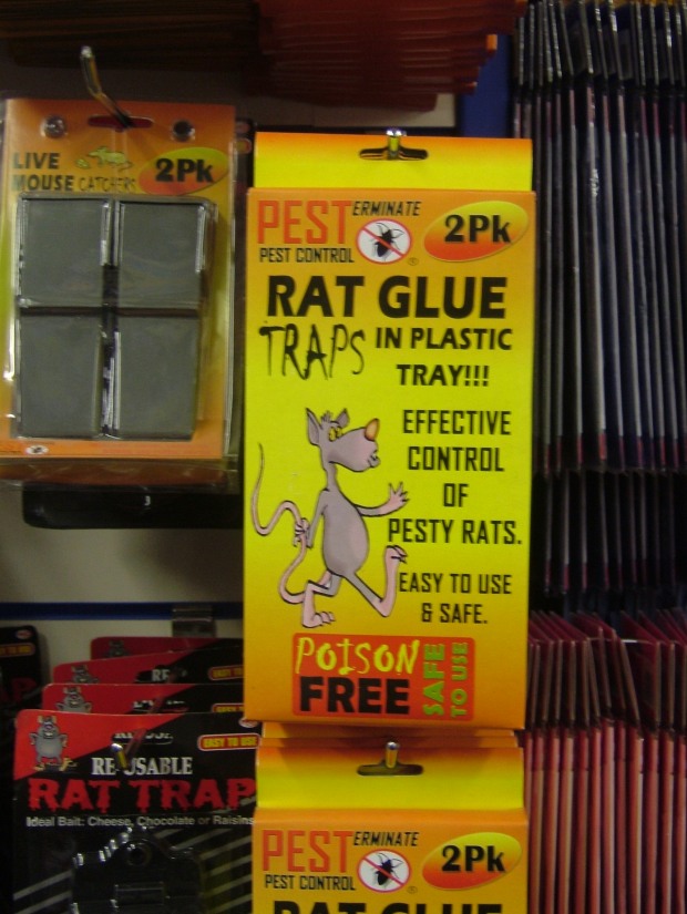 Rat cruelty kit